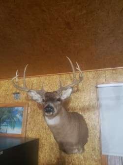 wide 8 mount.jpg